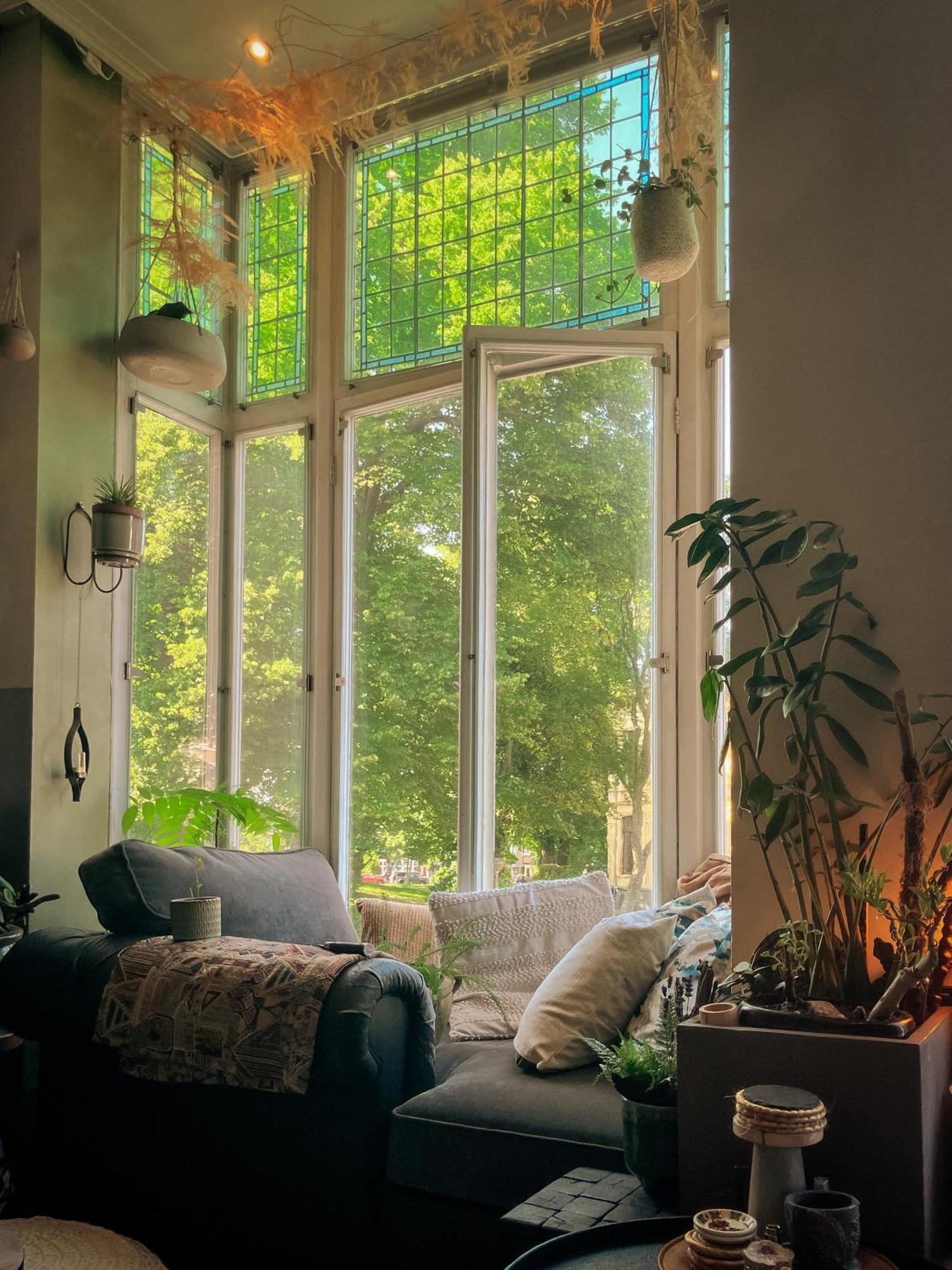 Lovely, 1898 Jugendstil Design Apartment, Old Haarlem City Centre, Fully Renovated With Parkview Near Amsterdam And Zandvoort, Bloemendaal Beach 외부 사진